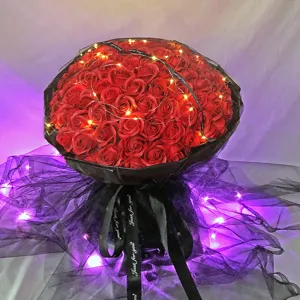 Runder roter Seifenrosenstrauch mit schwarzem Netz, Lichterkette und Schleife zum Valentinstag.
