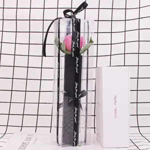 Detail of single pink soap rose flower in transparent PVC gift box with ribbon