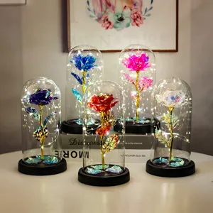 Eternal rose glass dome LED night light galaxy flower romantic gift for Valentines day