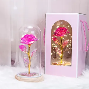 Rosa de lámina de oro en cúpula de cristal con luces LED y caja de regalo ideal.