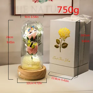 Lampe rose éternelle sous cloche en verre avec dimensions et boîte cadeau déco