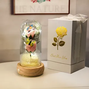 Détail de roses éternelles dans un dôme en verre LED avec une boîte cadeau élégante