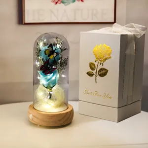 Rose bleue éternelle élégante sous cloche avec guirlande LED et boîte cadeau cadeau