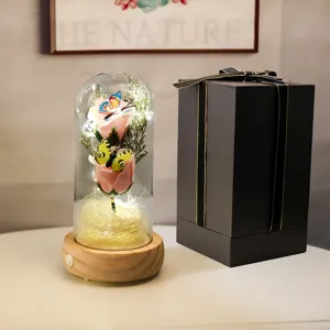 Rose rose éternelle lumineuse sous cloche avec musique et boîte cadeau premium