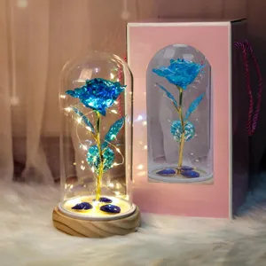 Cúpula de cristal rosa luminosa flor chapada en oro regalo romántico San Valentín luz