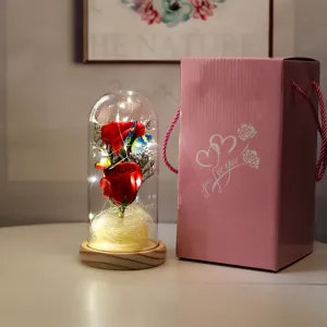 Detalle de cúpula de vidrio iluminada con rosas de jabón y mariposa en caja
