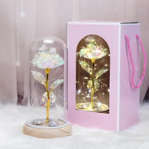 Rosa de lámina de oro galaxia en cúpula de cristal con luces LED y caja de regalo rosa.