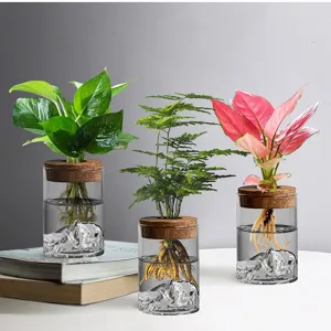 Vase Hydroponique en Verre Borosilicaté Avec Base Paysage de Montagne Et Bouchon en Liège Cylindre Transparent Récipient Plante de Bureau Pour Décoration Maison Bureau