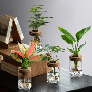 Vases hydroponiques en verre borosilicate transparent avec fond de montagne et bouchons