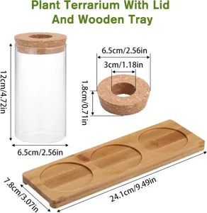 Terrarium pour plantes en verre avec couvercle en liege et plateau en bois.
