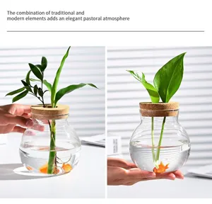 Vaso idroponico in vetro trasparente per scrivania, contenitore minimalista con tappo.