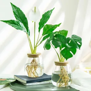 Elegante jarrón hidropónico de cristal transparente con tapa de madera para oficina y hogar