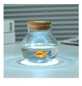 Vaso idroponico in vetro trasparente decorazione da tavolo con coperchio in sughero e pesce.