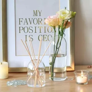 Minimalistische transparente bauchige Glasvase für Hydrokulturpflanzen und Blumendekoration