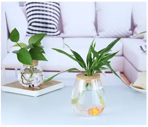 Set de vase hydroponique en verre transparent avec couvercle en liège pour plante détail.