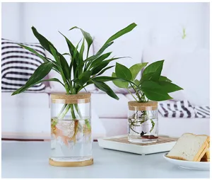 Vase hydroponique en verre transparent avec couvercle en liège pour décoration bureau.