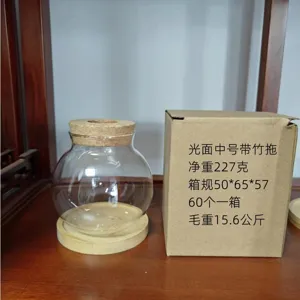 Vaso idroponico in vetro trasparente con base in legno e tappo di sughero, contenitore per piante.