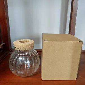 Vaso idroponico in vetro trasparente con tappo in sughero, semplice contenitore da tavolo per piante.