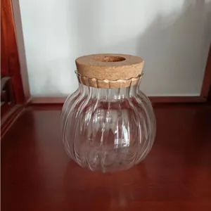 Vaso idroponico in vetro scanalato trasparente con coperchio in sughero per piante da interno.