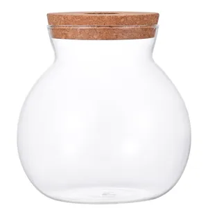 Vaso idroponico in vetro trasparente con tappo di sughero per decorazione piante da tavolo.