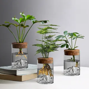 Vases de culture hydroponique en verre borosilicate avec base montagne et bouchons
