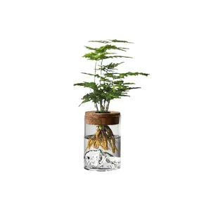 Vase hydroponique en verre borosilicaté transparent avec base paysage de montagne