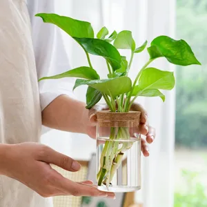 Transparent glass hydroponic vase with cork lid and green plant held in hands.