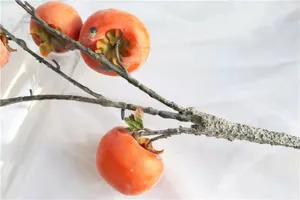 Close-up detail of realistic artificial persimmon branch with frost texture for decor