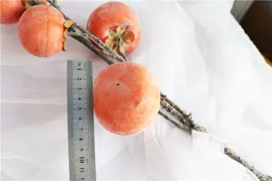 Detail shot of a high simulation artificial persimmon fruit branch with size measurement