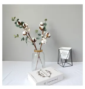 Decoratieve gedroogde katoenbloemen met eucalyptusbladeren in een glazen vaas
