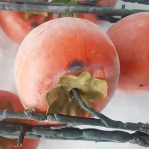 Close-up of realistic frosted artificial persimmon with detailed branch and sepals.