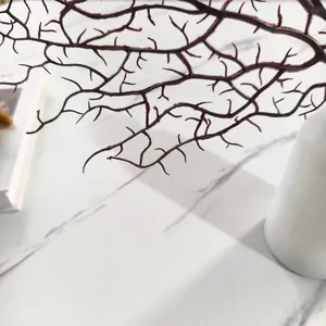 Λεπτομερές κοντινό πλάνο τεχνητού κλαδιού κοραλλιού, διακοσμητικό αξεσουάρ στούντιο.