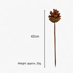 Vue détaillée de la pomme de pin séchée naturelle, idéale pour la décoration florale.