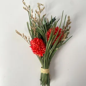 Gros plan d'un petit bouquet de fleurs séchées avec des pommes de pin rouges pour décoration.