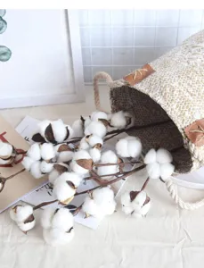 10-têtes fleurs de coton séchées simulation kapok bouquet salon décoration ornement