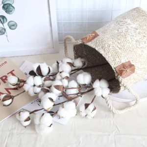 Tiges de coton séchées fleurs artificielles 10 têtes faux coton pour décoration maison