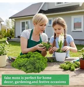 Artificial green moss for potted plants, fairy garden landscaping, and home decor crafts.