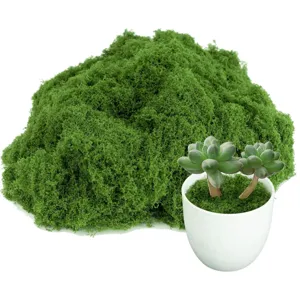 Artificial Moss Green Simulation Lawn Fake Moss for Micro Landscape Bonsai Potted Plant DIY Craft Home Garden Decoration