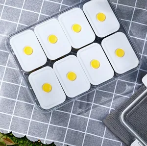 Detailed view of 8 partitioned airtight fruit storage boxes inside a larger clear container