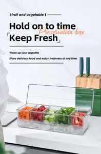 Macro view of 5-compartment transparent salad box with ice for cooling vegetables.