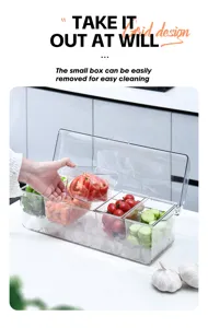 Close-up of a 5-compartment transparent salad organizer showing removable inner boxes