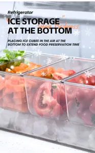 Macro view of transparent salad server with ice storage base for lasting freshness.