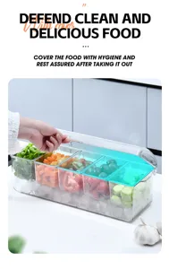 Detailed view of transparent 5-compartment chilled salad server with ice and fresh vegetables