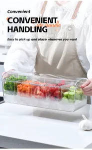 Detail view of a 5-compartment clear salad organizer with side handles and ice cooling base