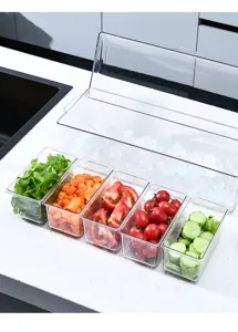 5-compartment transparent chilled salad server box with lid for picnic and fresh storage