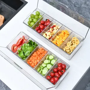 Transparent 5 Compartment Divided Salad Tray With Lid Ice Cooling Food Storage Box For Picnic Picnic Fresh Keeping Tray