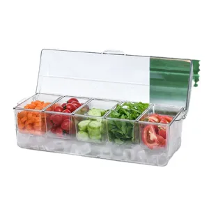 5-compartment chilled salad server with transparent lid for picnics and parties
