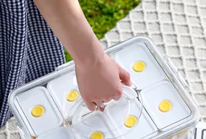 Detail view of portable partitioned fruit storage box with handle for outdoor use