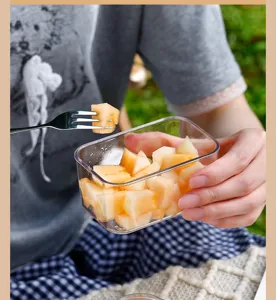 Detail of a portable clear plastic food container for outdoor fruit snacks and salads.