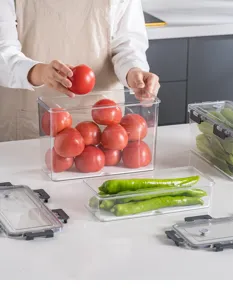 Close-up detail of transparent food storage box with fresh tomatoes and green peppers